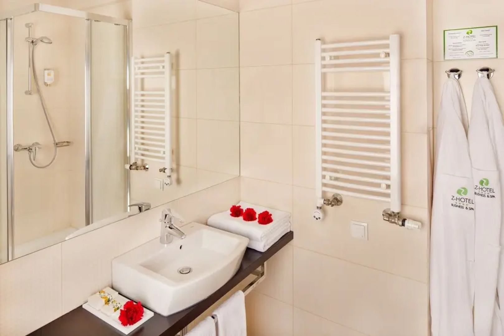 Z-Hotel Business & Spa