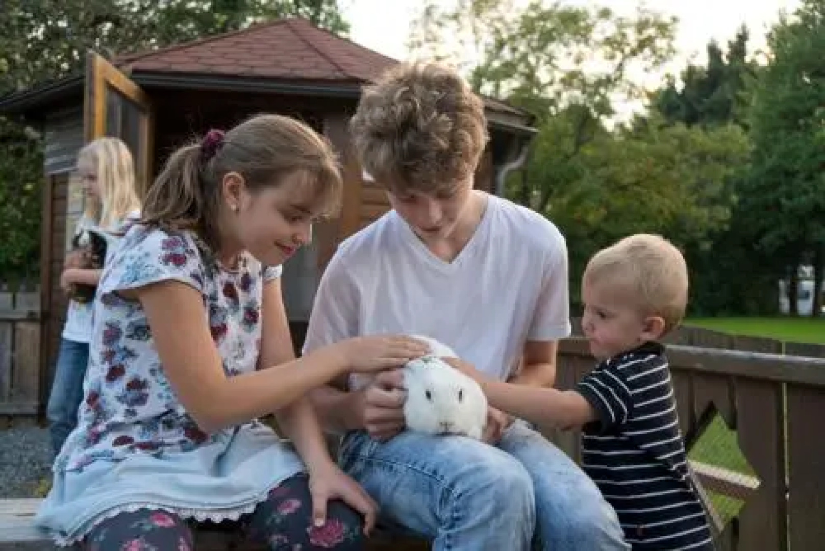 Campingpark Gitzenweiler Hof