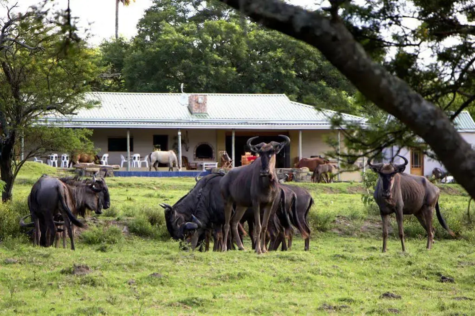Santa Paloma Guest Farm