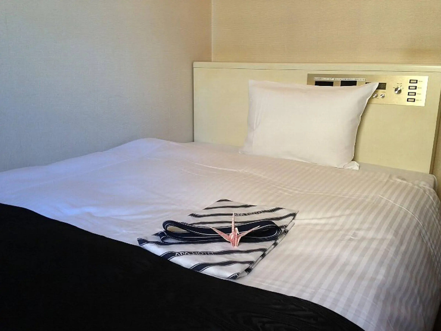 APA Hotel Stay Toyama