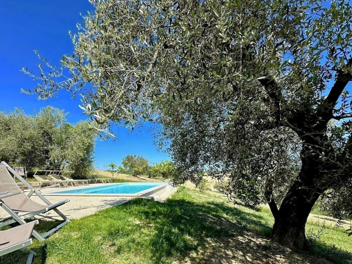 the Mulberry on the Hills of Senigallia a Stone's Throw From the sea