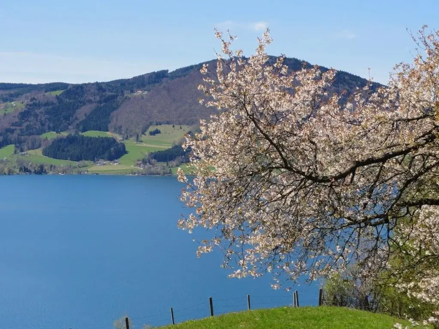 Ferienwohnungen Bachbauer