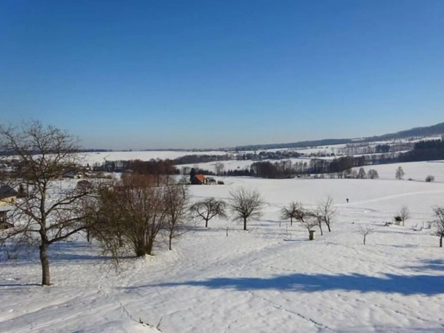 Spacious Holiday Home In Dlouhý With Sauna