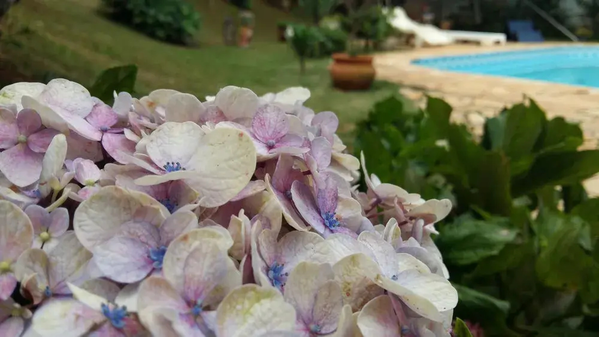 Pousada Casarão de Minas