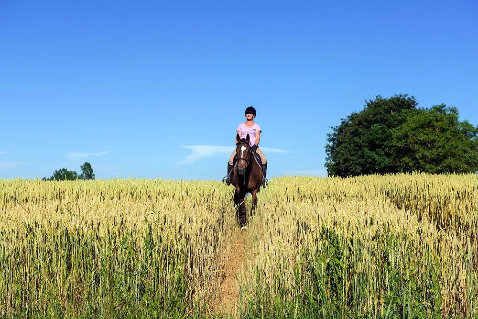 Carrion Cuisine Hôtel & Spa