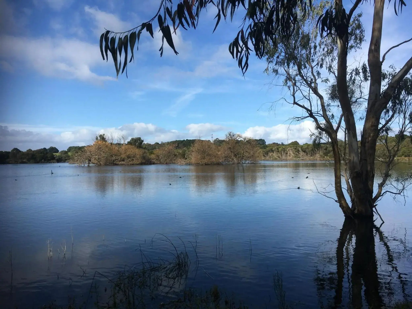 The Dairy Cottage - Lake Lorne - Drysdale