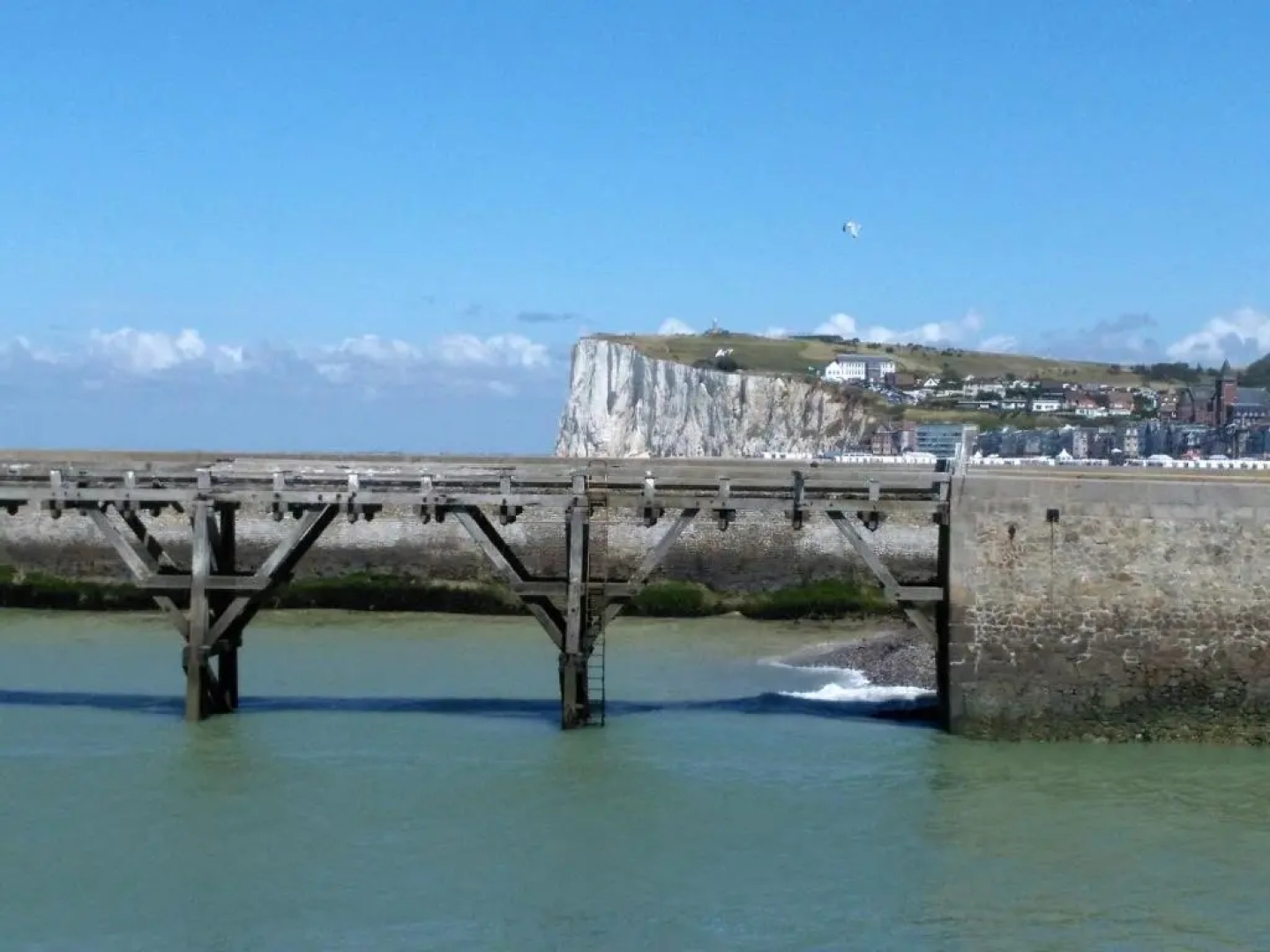 Le Chant Des Oiseaux