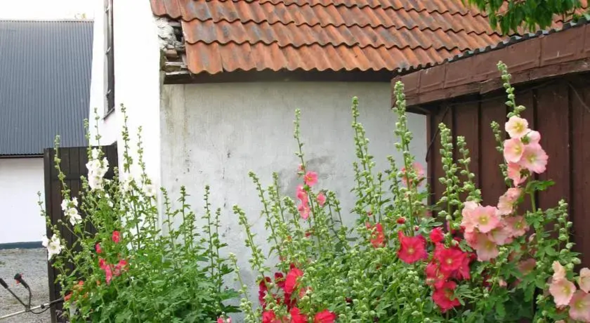 Hemmesåker Bed and Breakfast