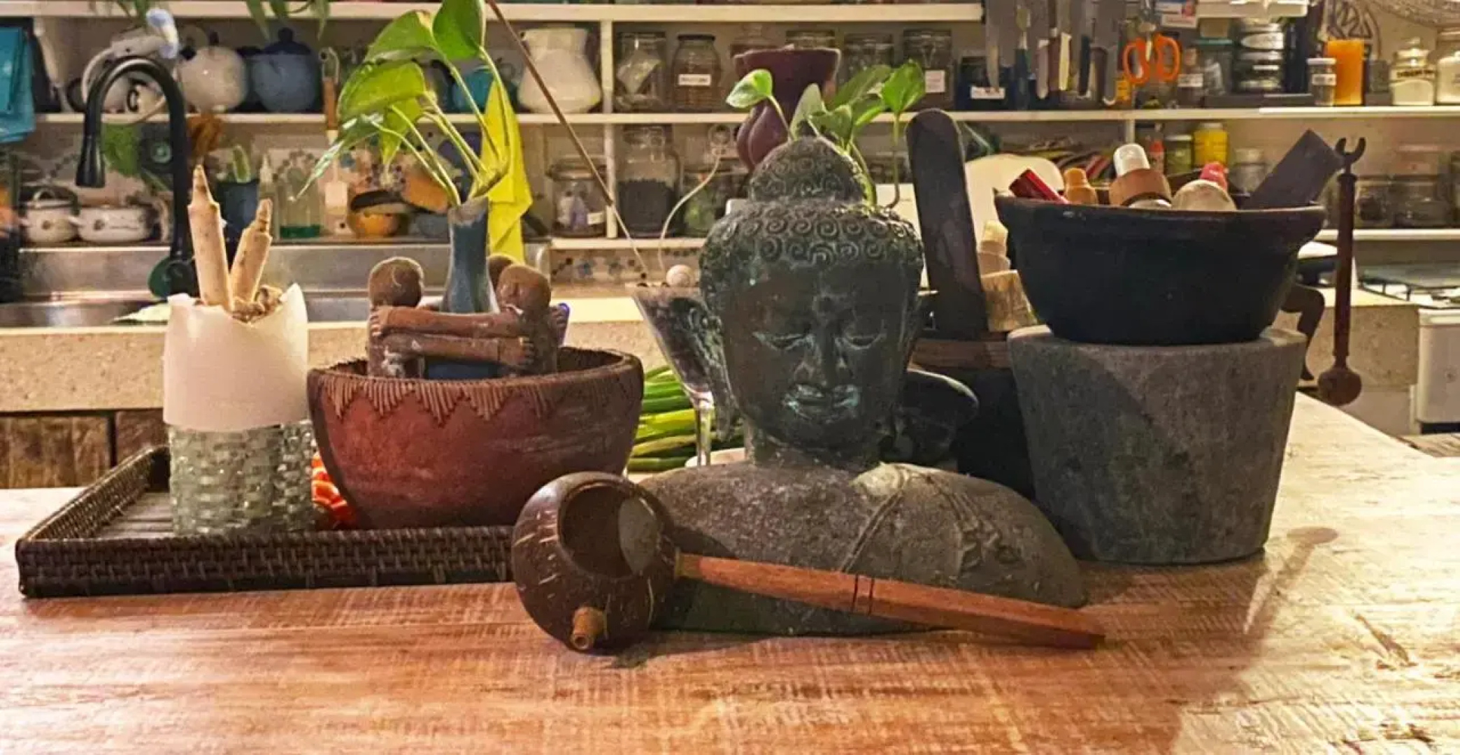 Shady Grove Healing Centre and Homestay