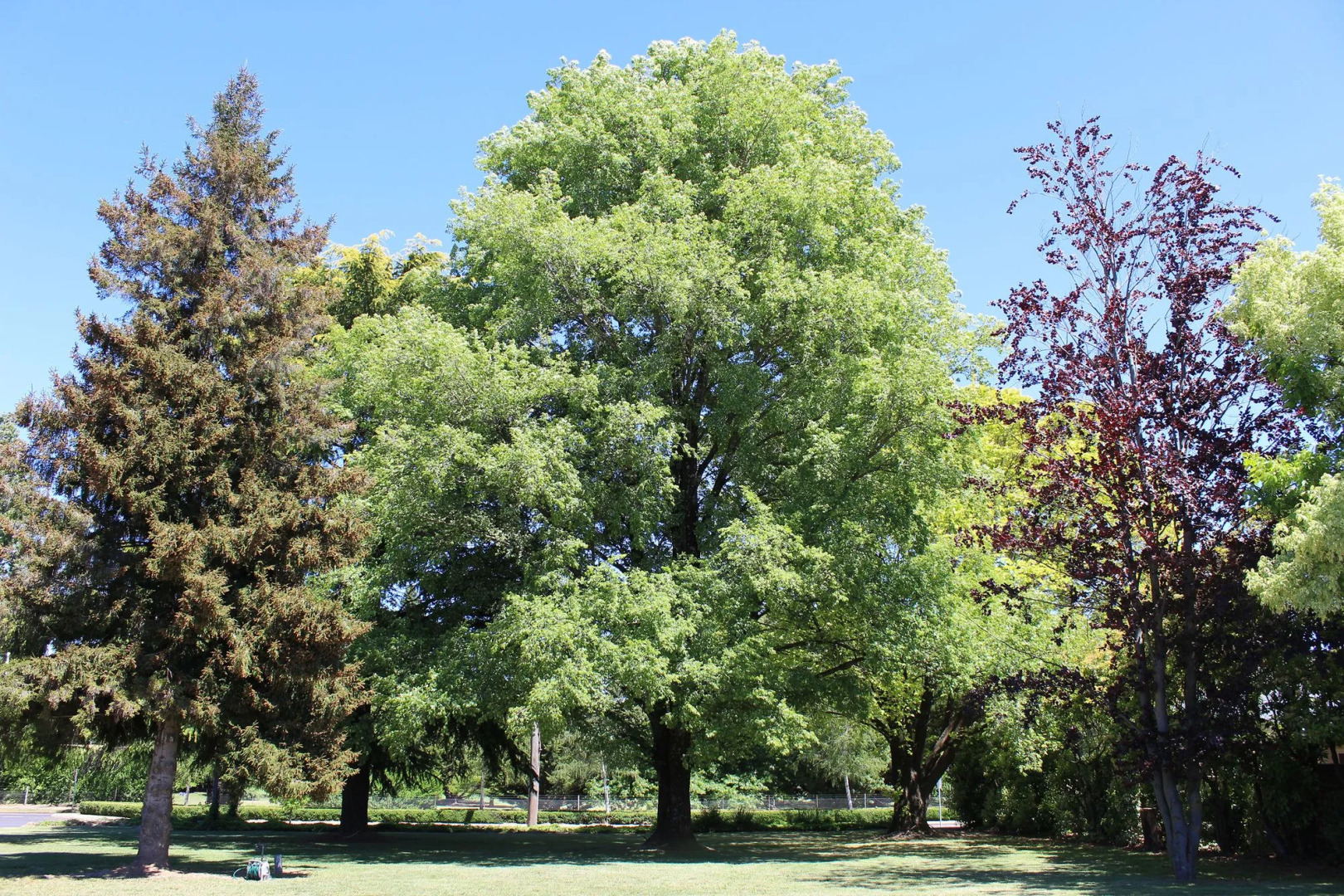 The Oriana Orange - Retro Hotel & Resort