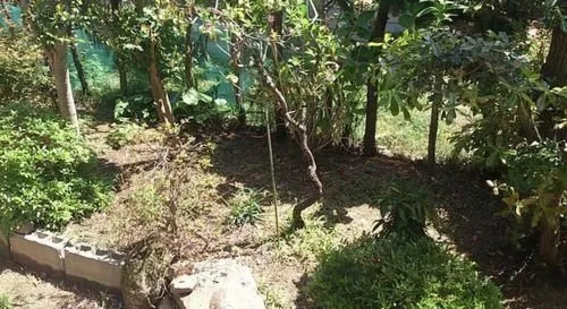 Guest House Misaki House