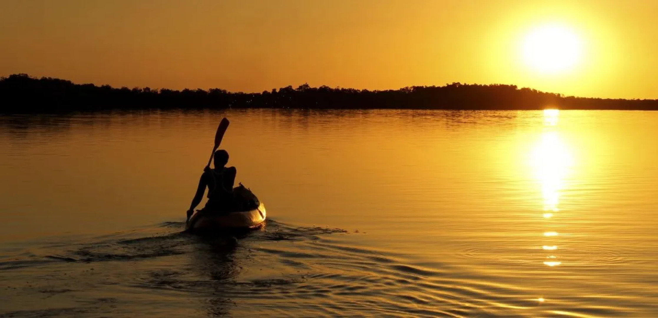 Hotel Les Paletuviers