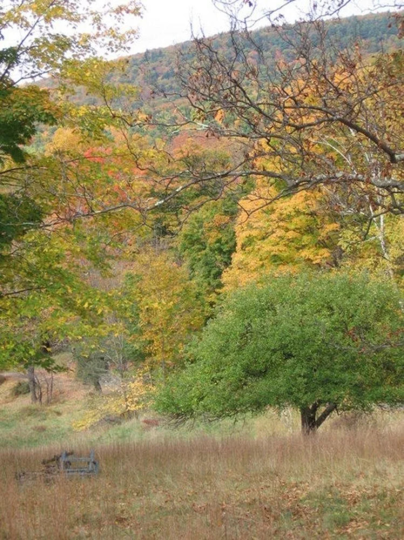 Retreat at TreeGap