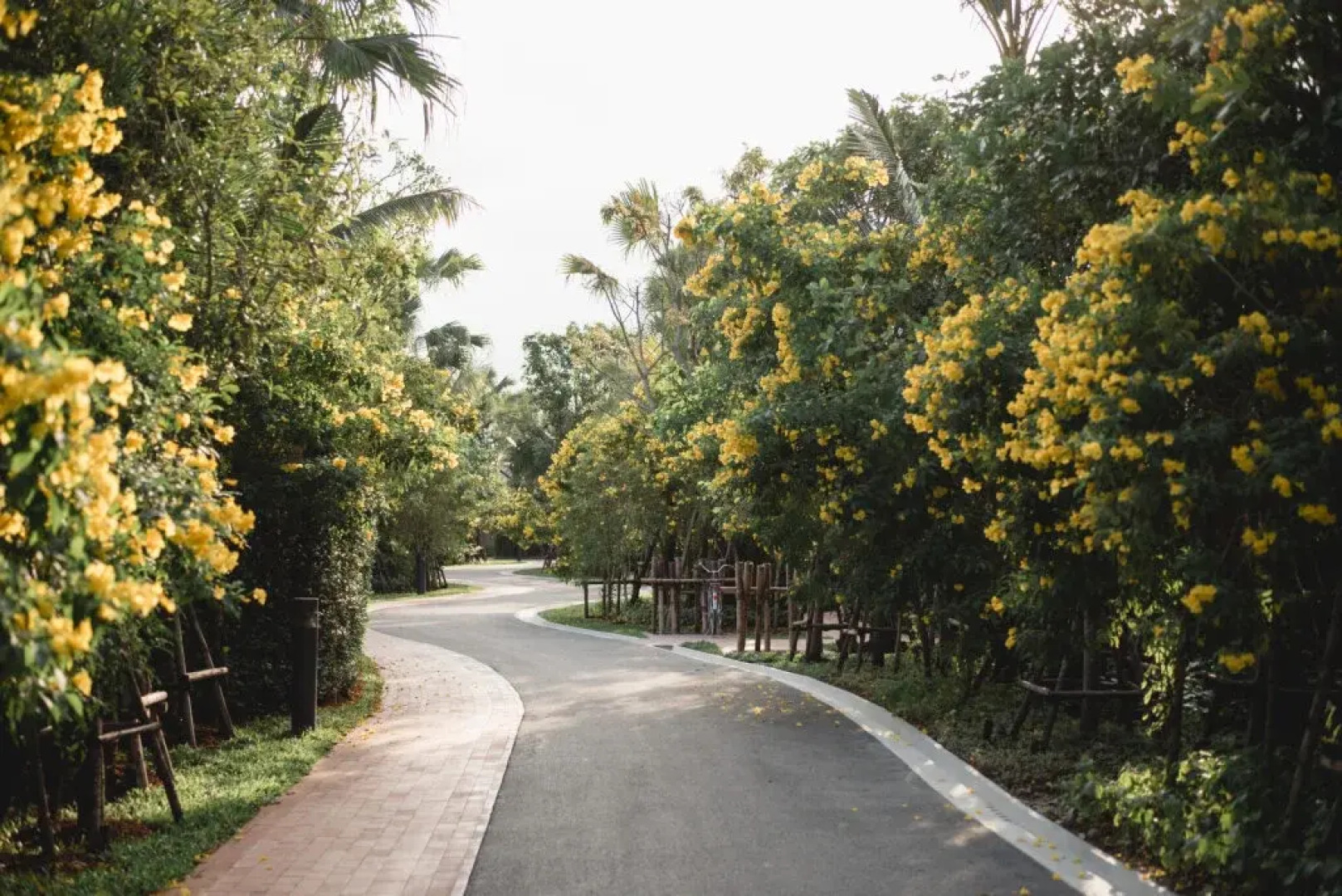 RAKxa Wellness & Medical Retreat