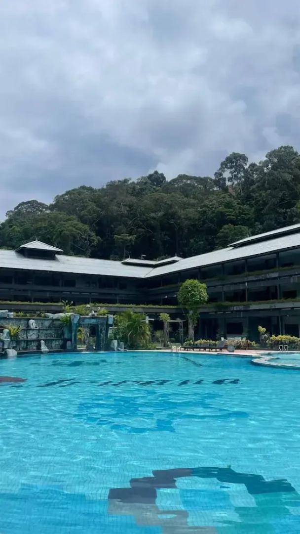 Arwana Perhentian Bluestar