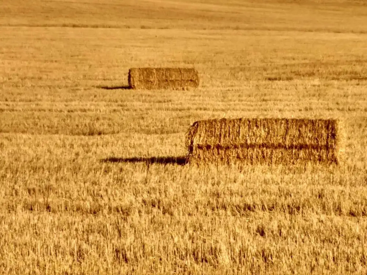 Studio in Menaza, With Furnished Terrace and Wifi