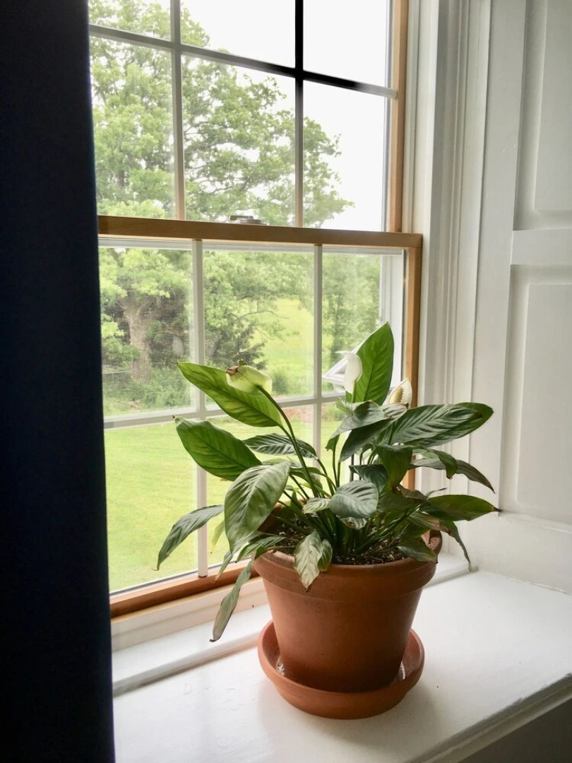 Harlem Stonegate B&B