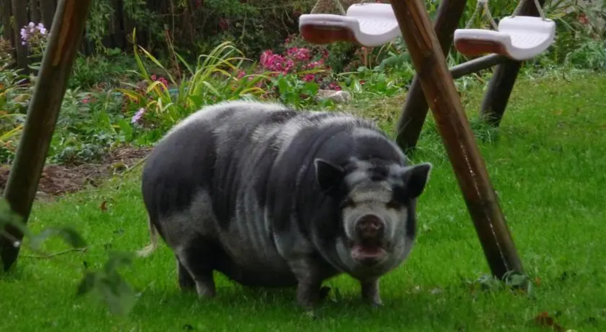 Familienferienhof Stabauer