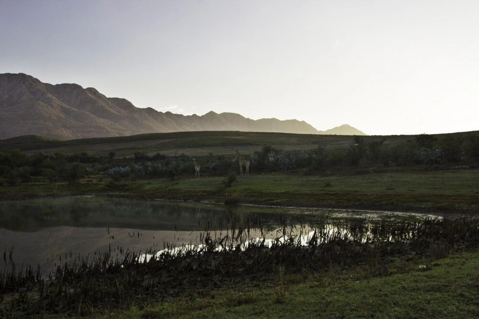 Swartberg Private Game Lodge