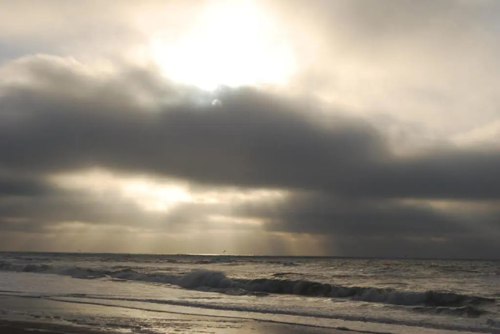 B&B Idylle aan Zee incl 2 Wellnessstudios