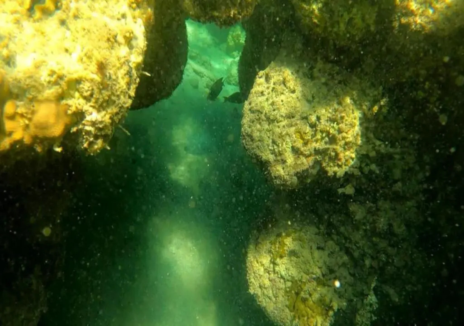 Dolphin Continental Hotel