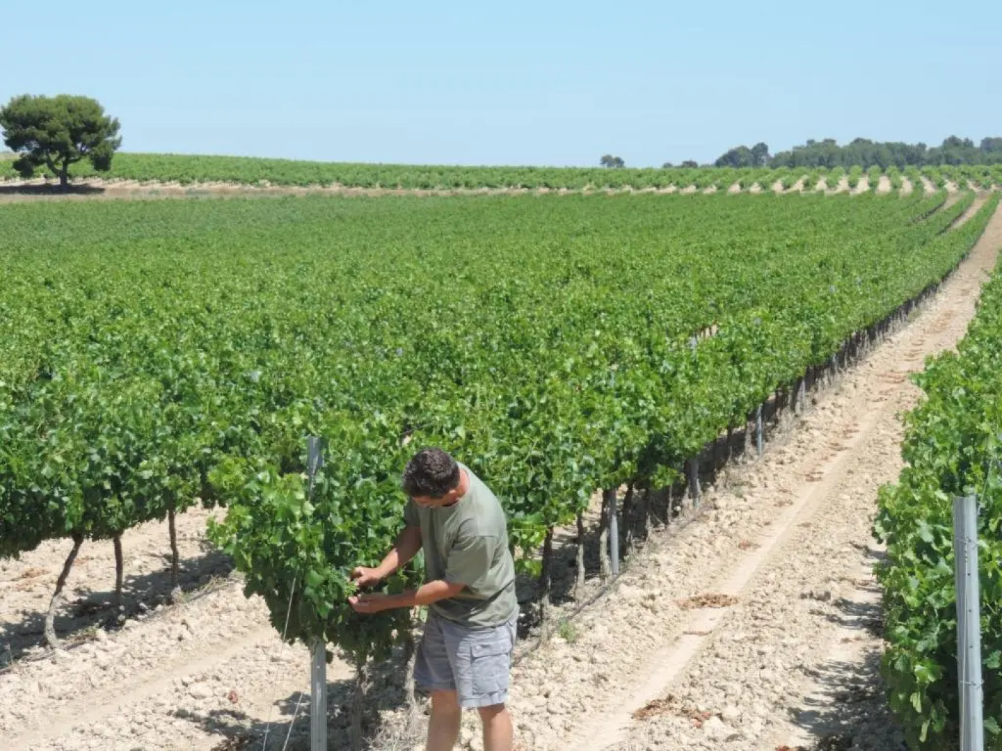 Gîtes Le "Val-Léa"