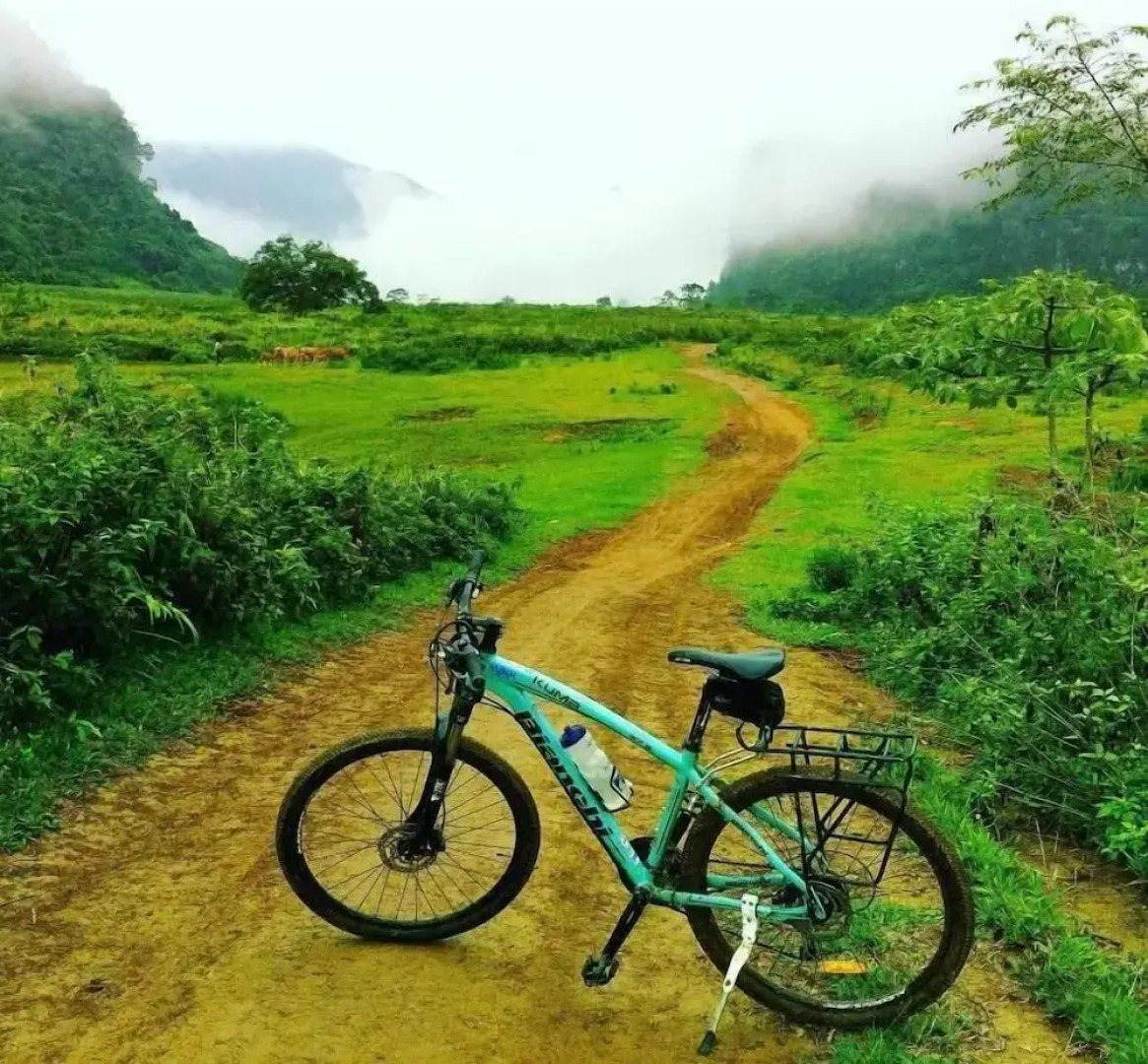 Frontier Hostel & Tours