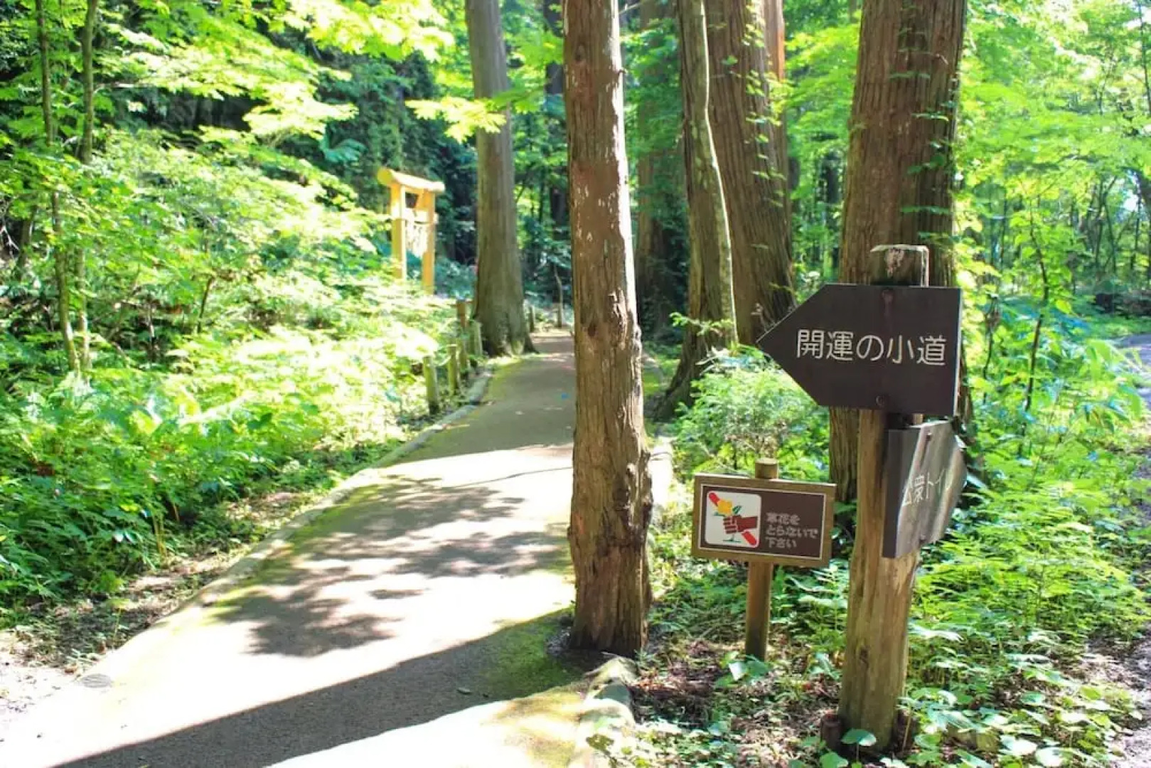 Towadako Lakeview Hotel