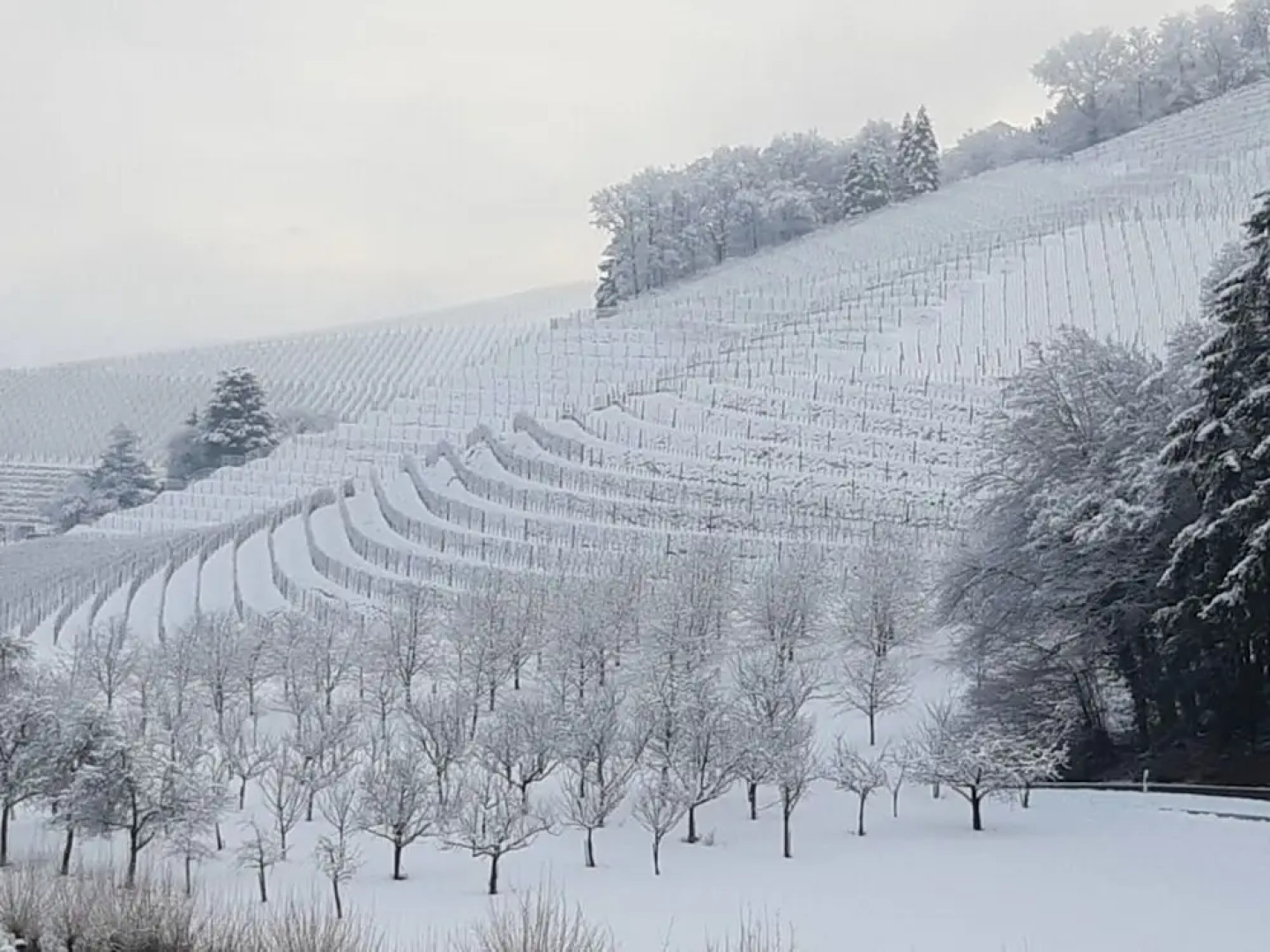 Fantastic Apartment in Oberkirch