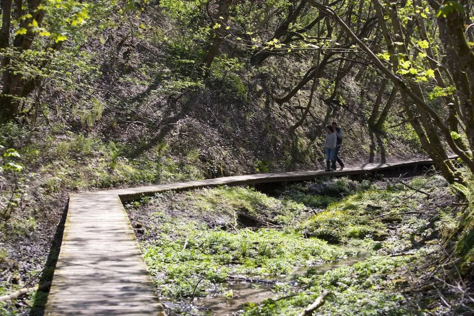 Strandhotel Klitrosen