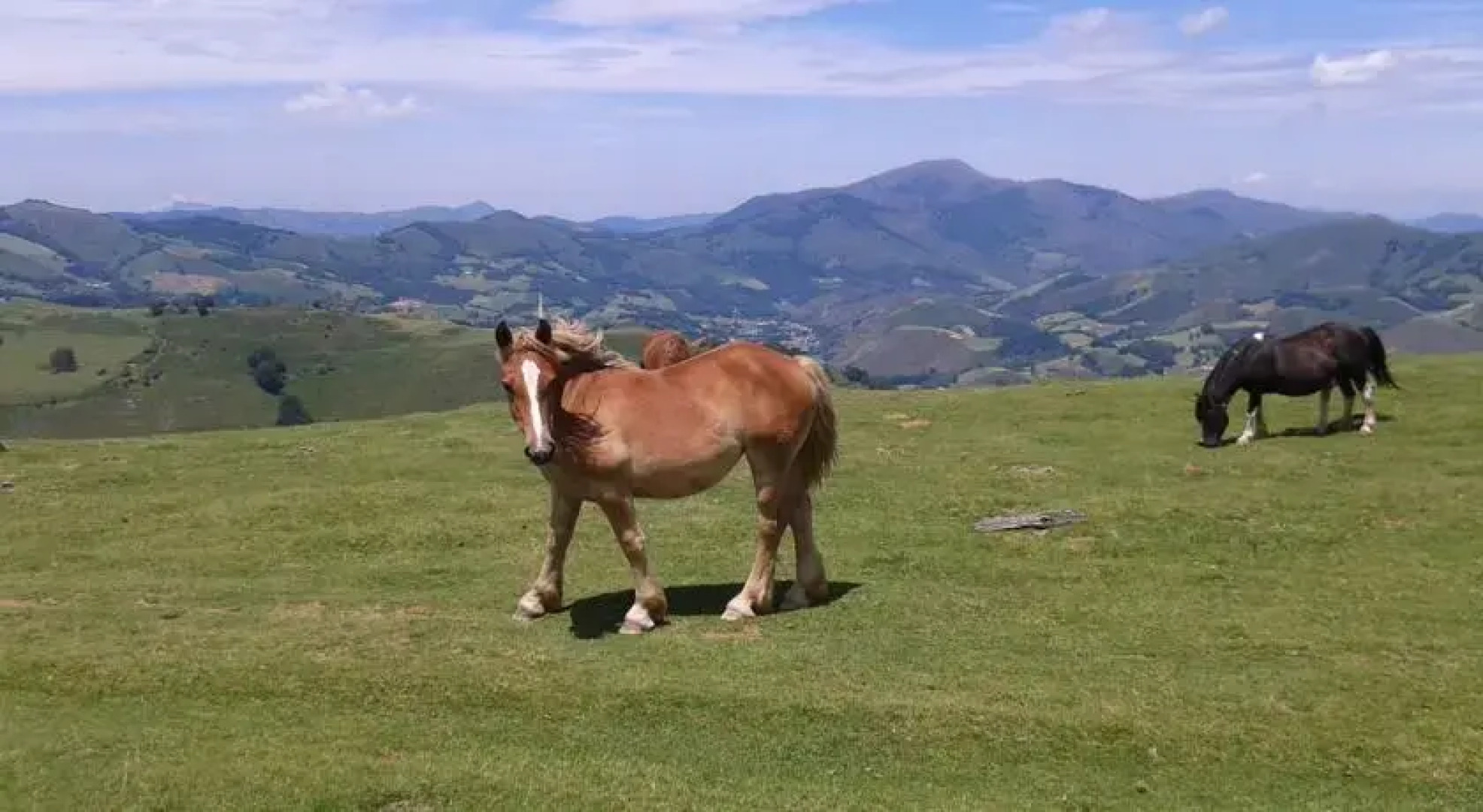 Albergue de Sorogain