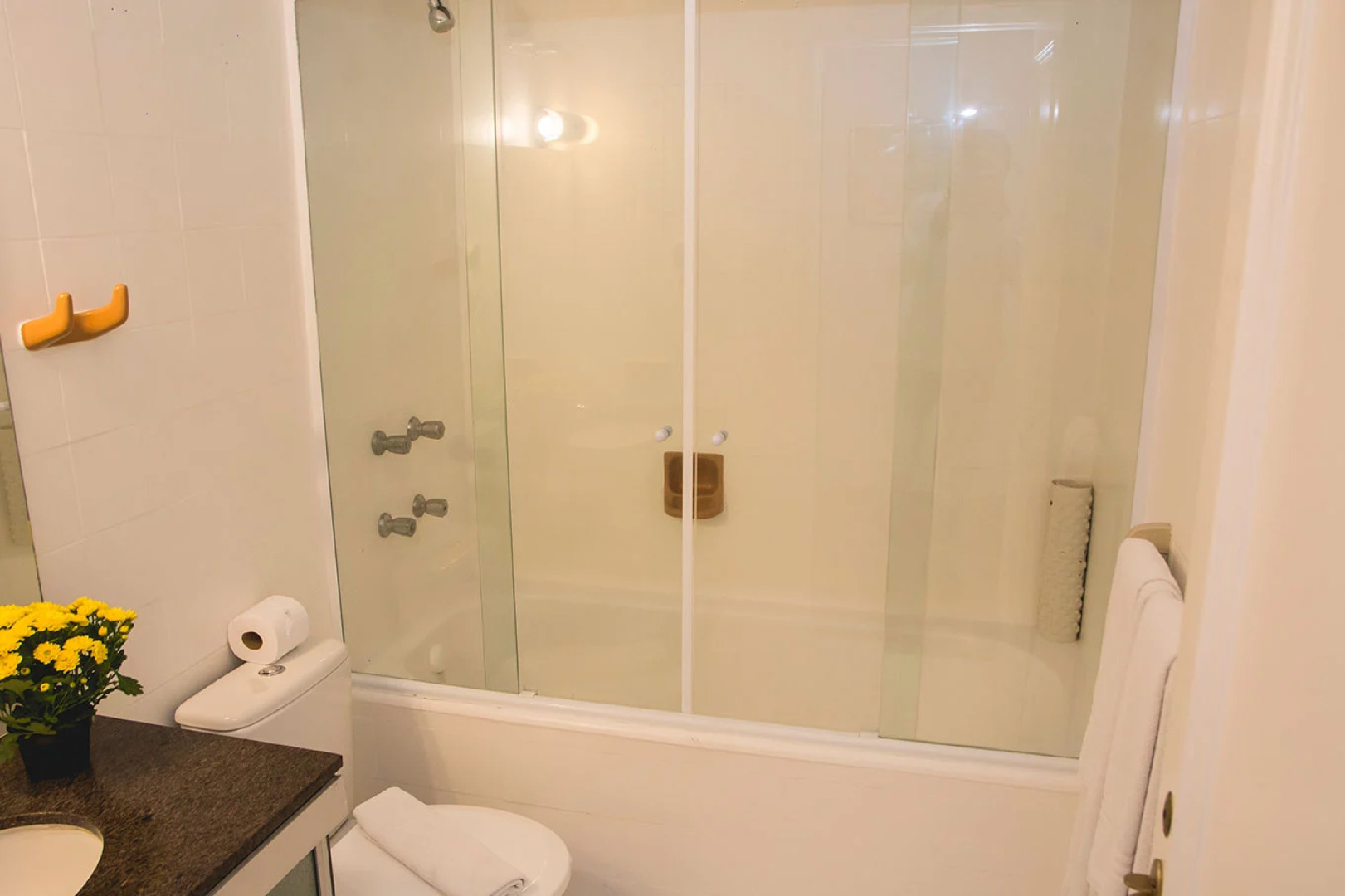 DELPLAZA Timbiras São Paulo