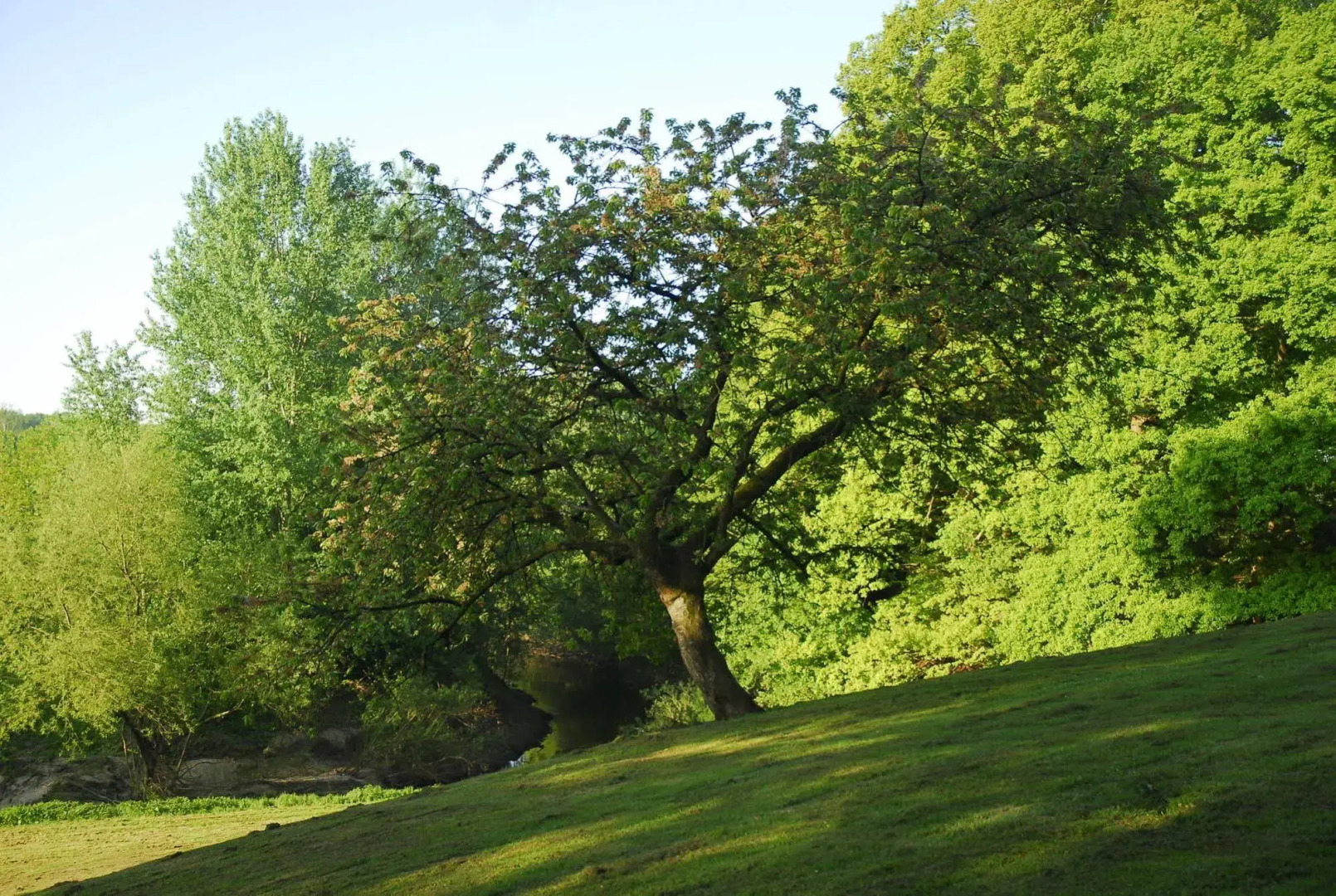 Ringhotel Landhaus Eggert