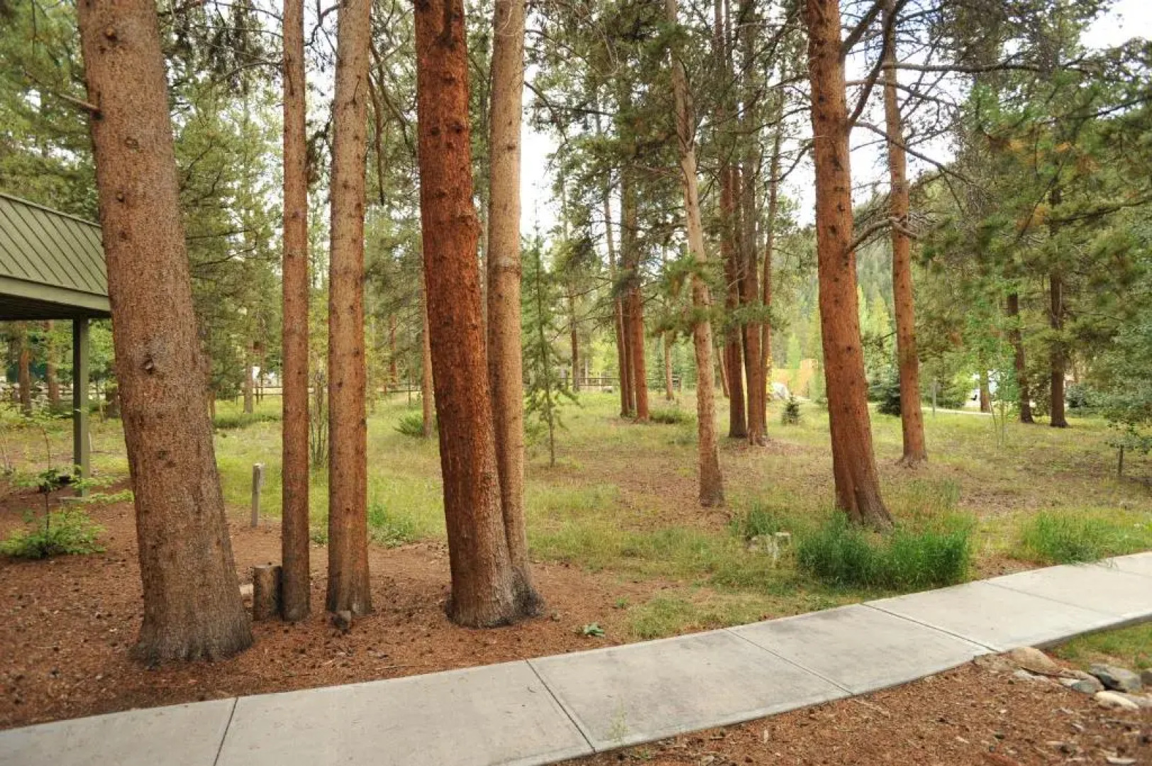 The Forest Neighborhood by Keystone Resort