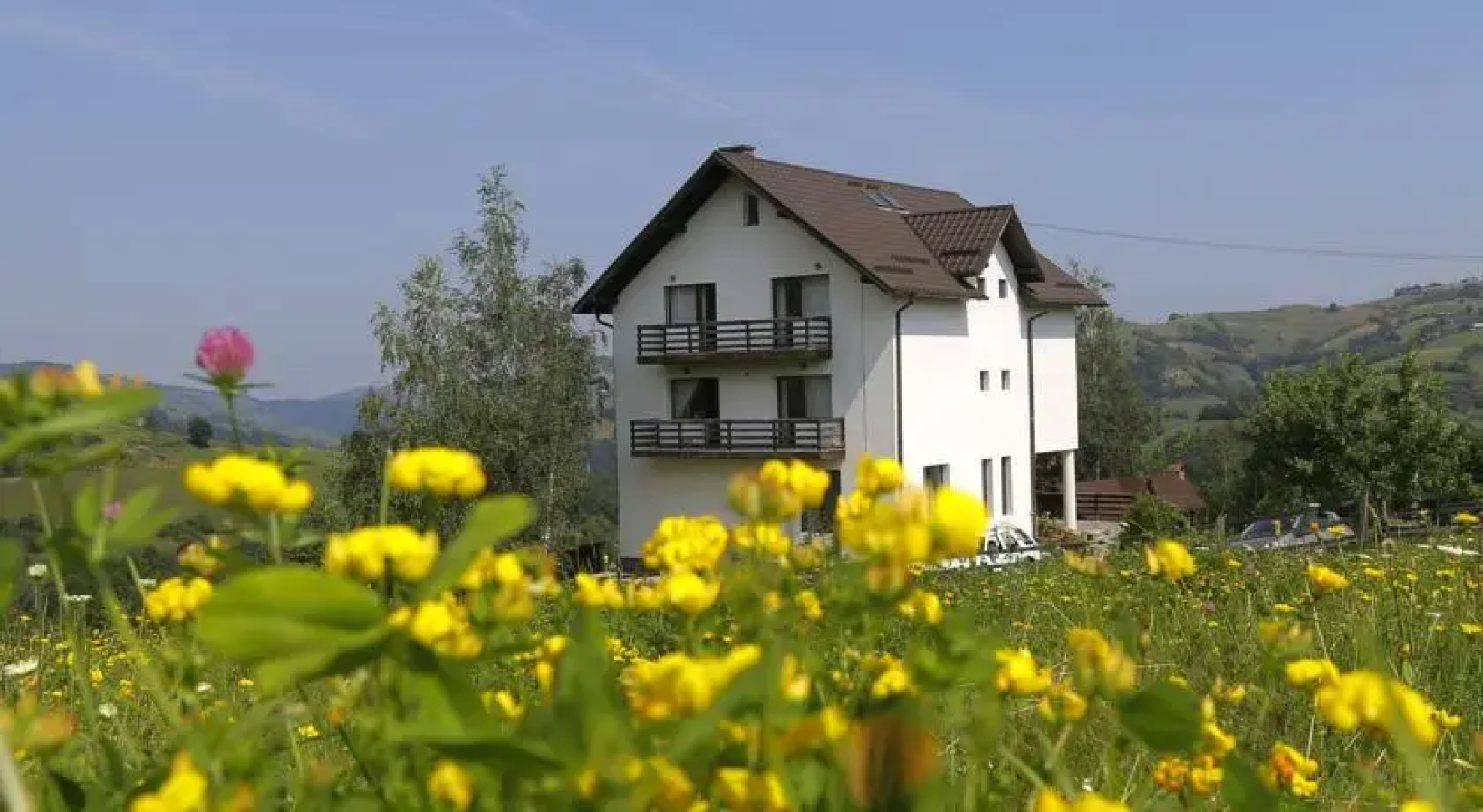 Pasul Caprioarei