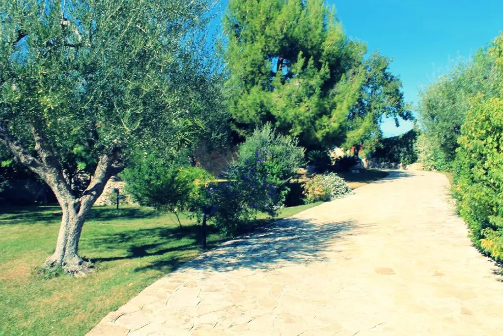 Maglioferro Residence