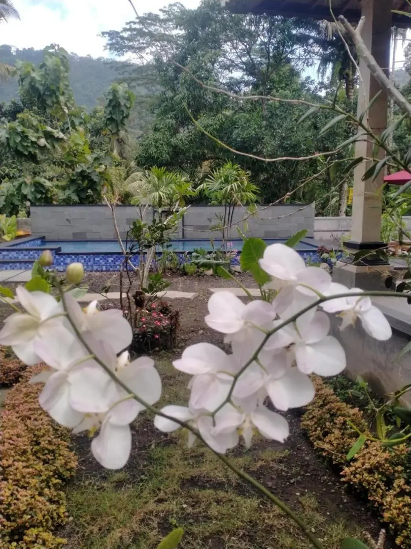 Villa Uma Ayu Sidemen