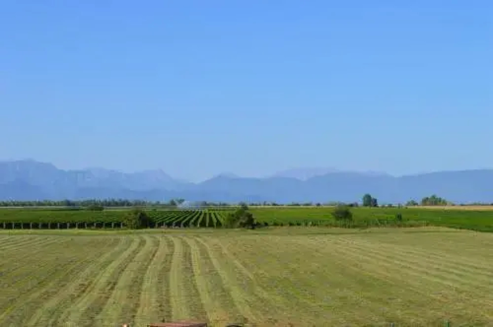 Agriturismo Quinta della Luna