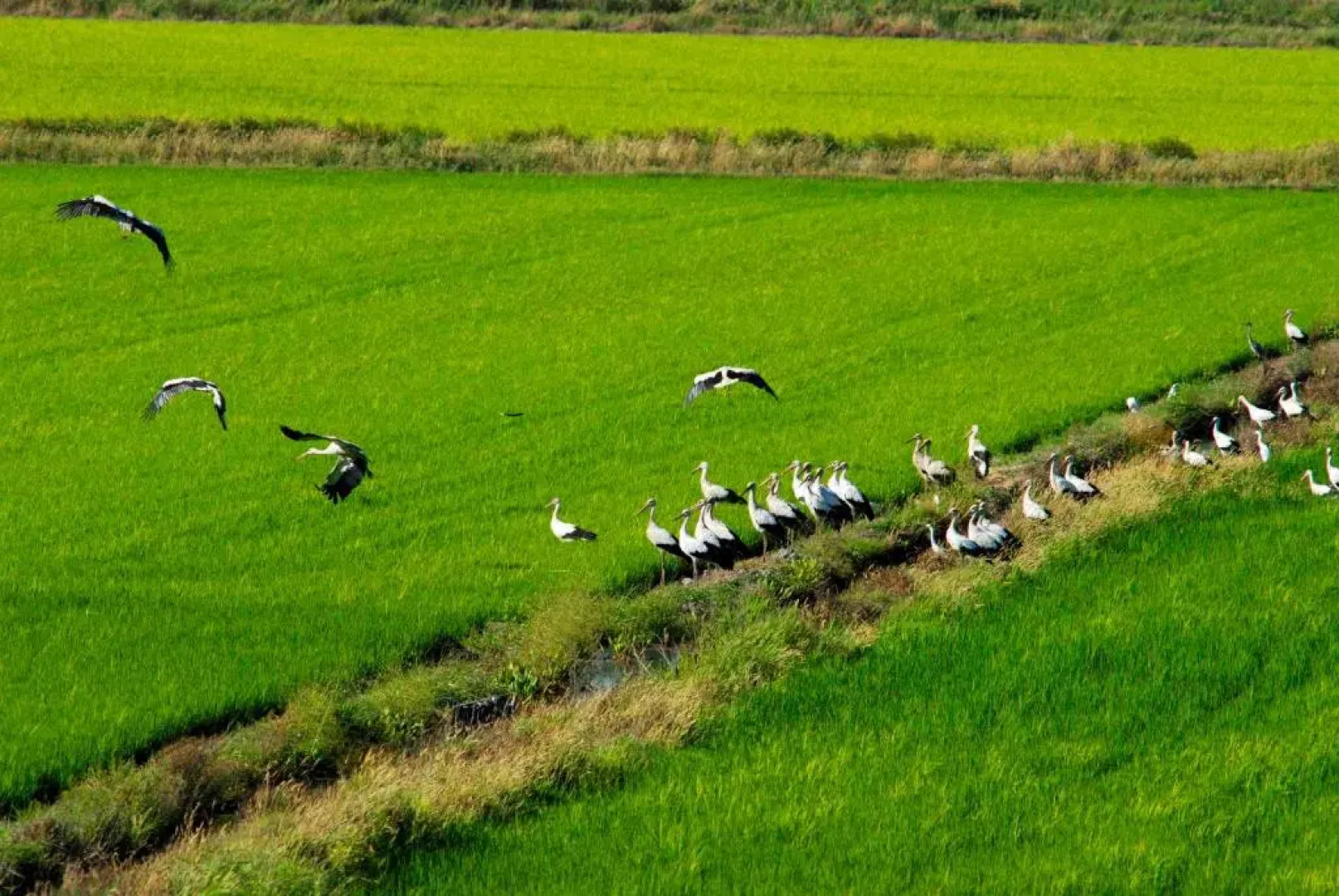 Sublime Comporta Country House Retreat