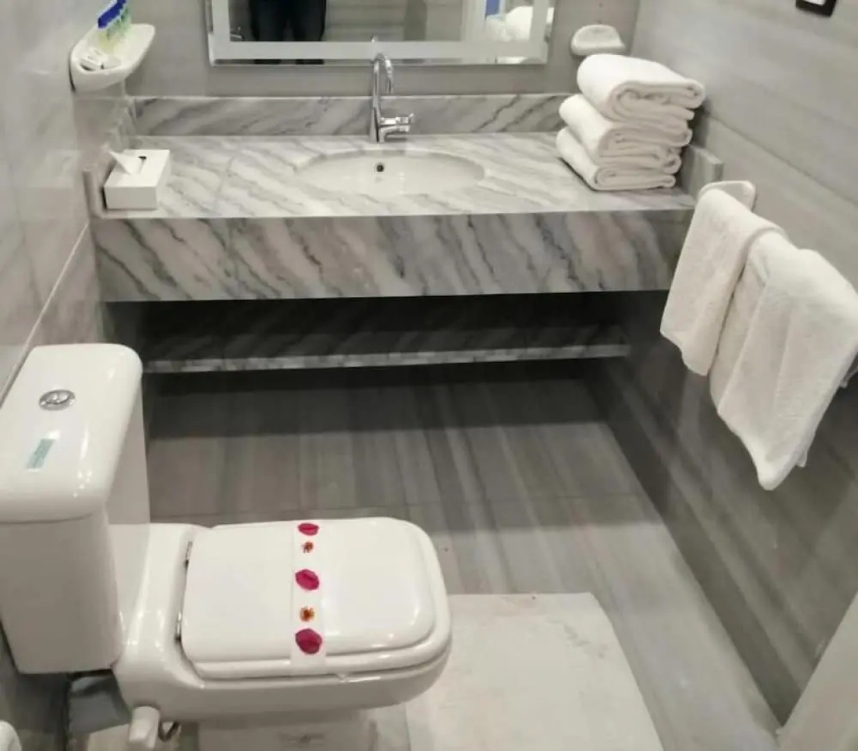 Aida Beach Hotel - El Alamein