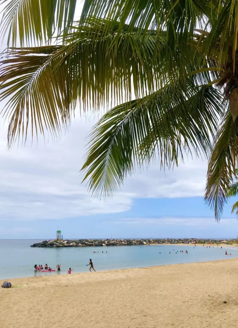 Casa Verde Hotel - Steps to the Beach | Pool, Restaurant & Bar