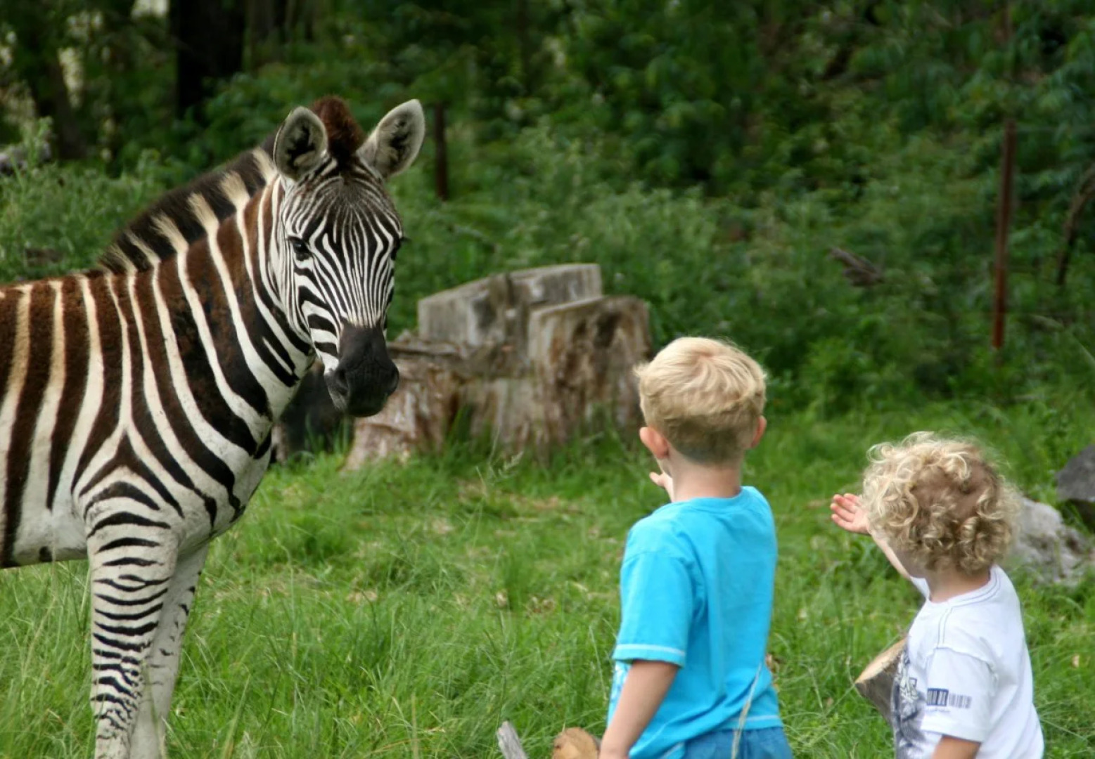 Sani Valley Nature Lodges