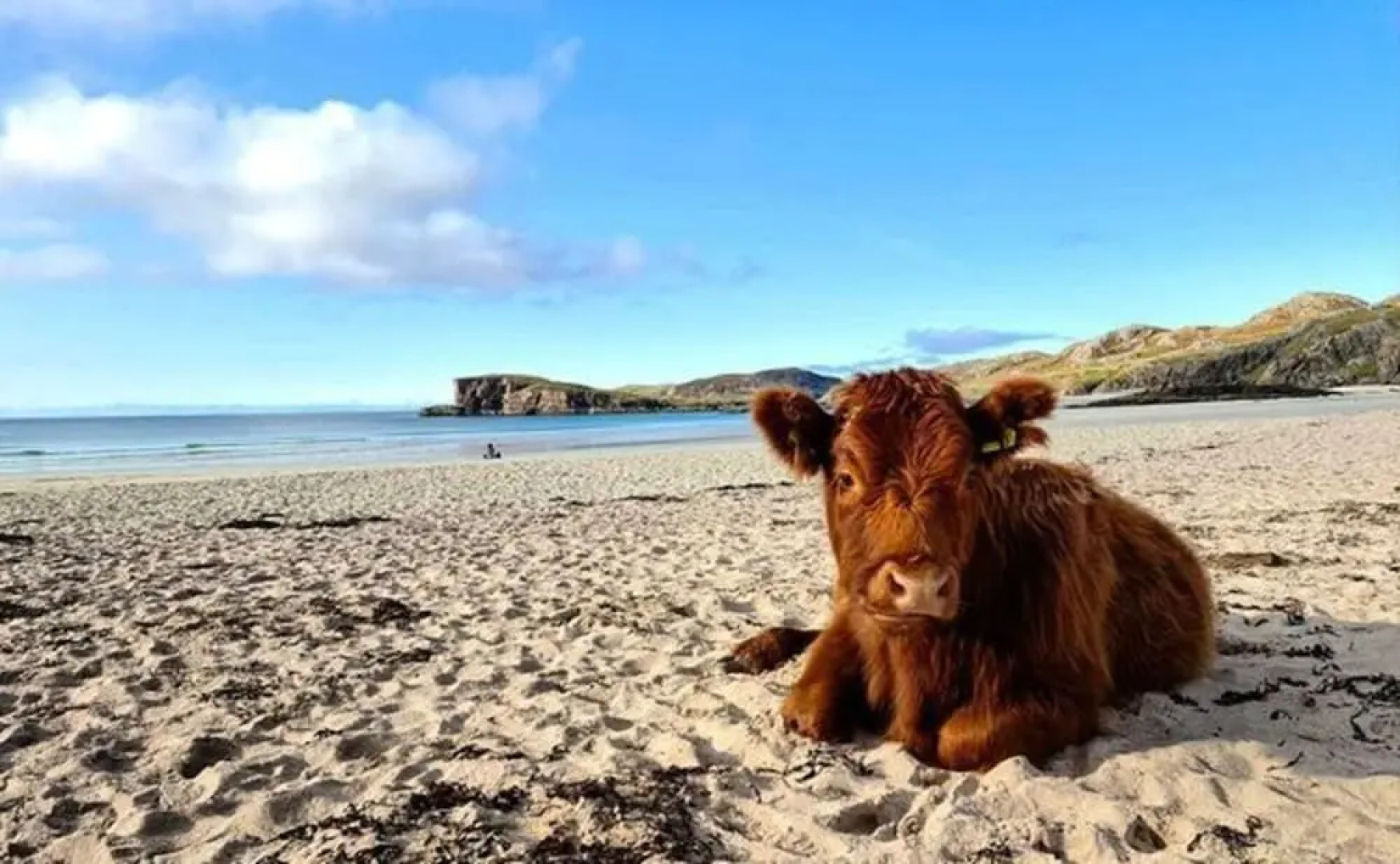 Cosy 2-bed House in Kinlochbervie