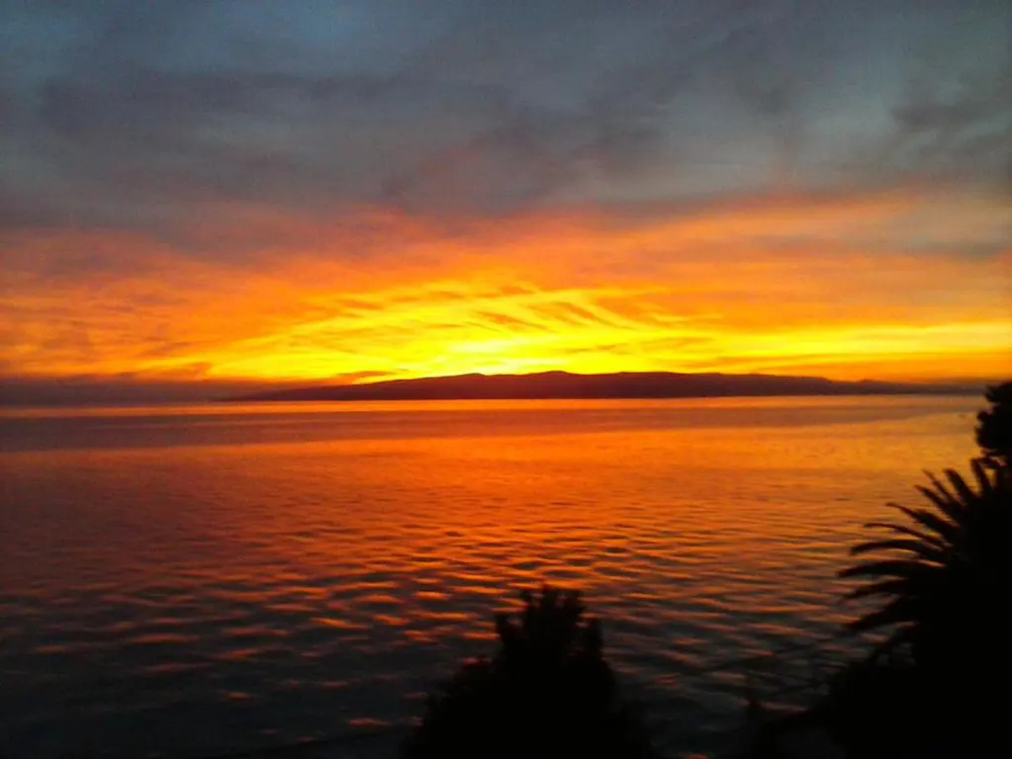 Apartment Hortenzija