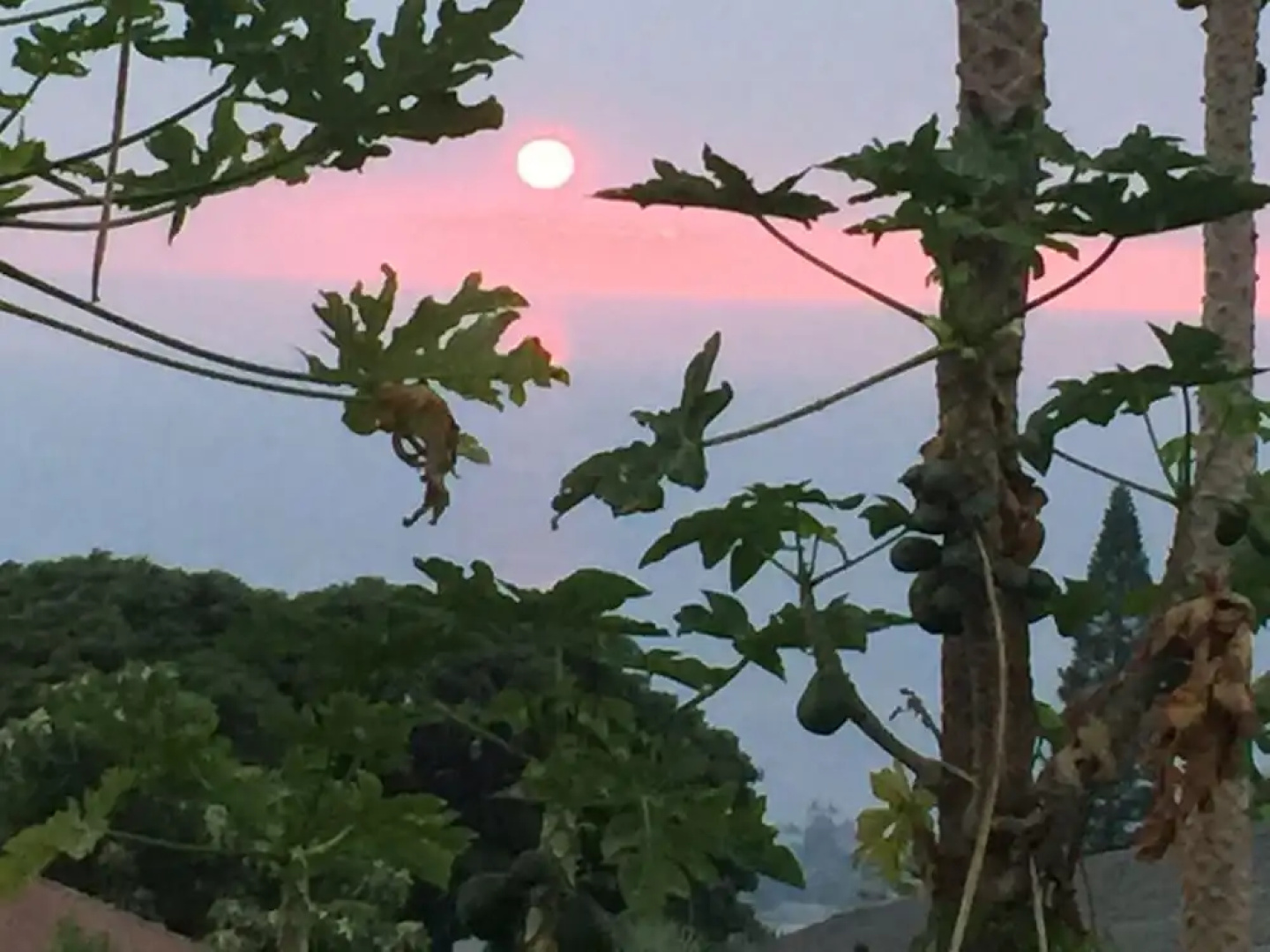 Kona Hawaii Guesthouse