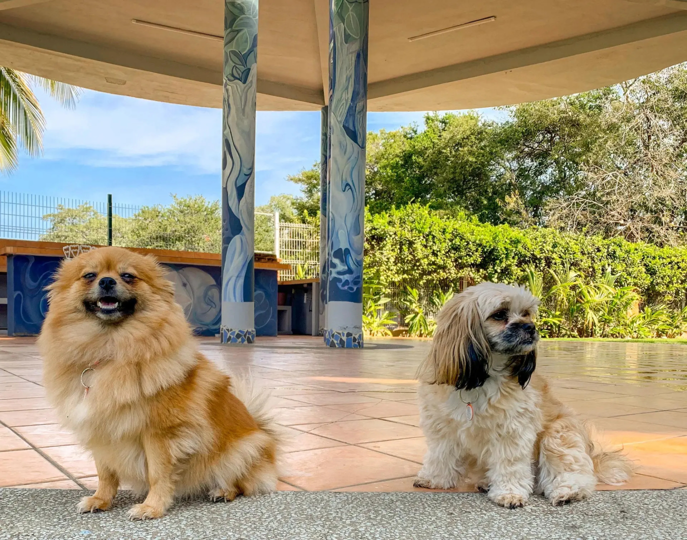 Puerto de Luna Pet Friendly & Family Suites Hotel