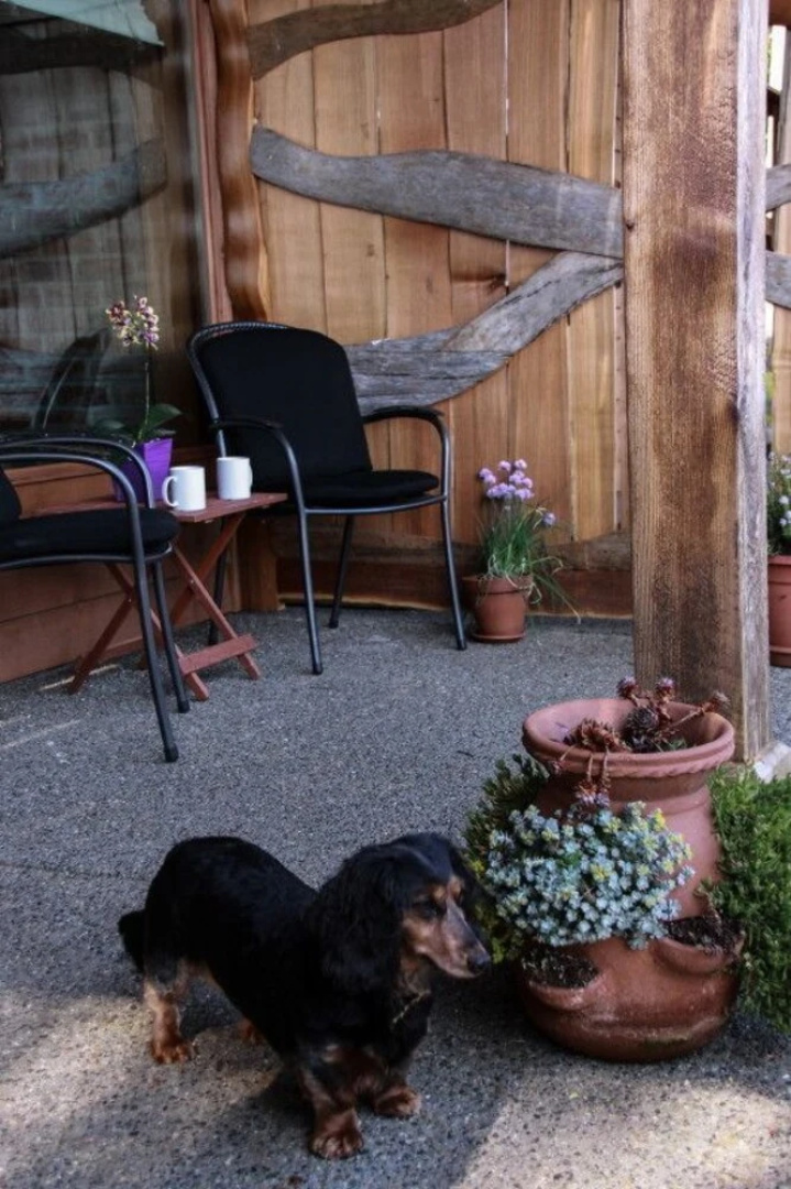 Salmonberry Inn