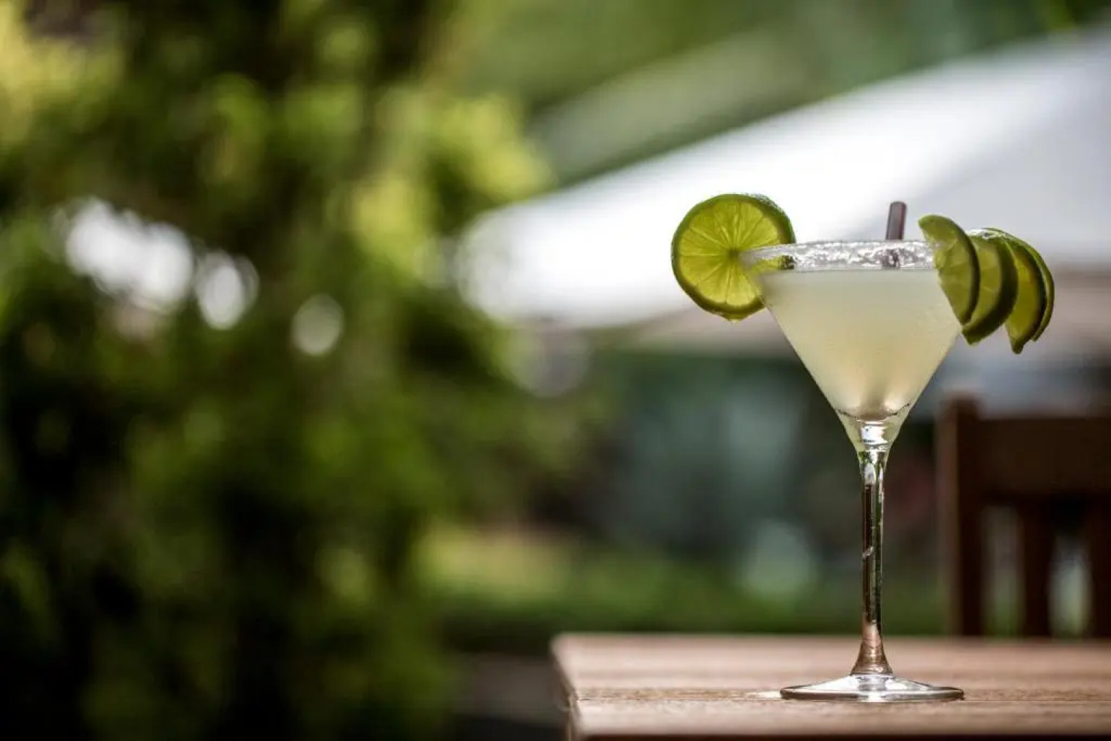 Sombra e Agua Fresca Floresta