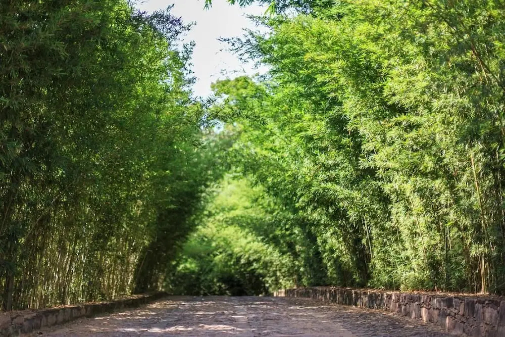 Pousada Bosque do Lapão
