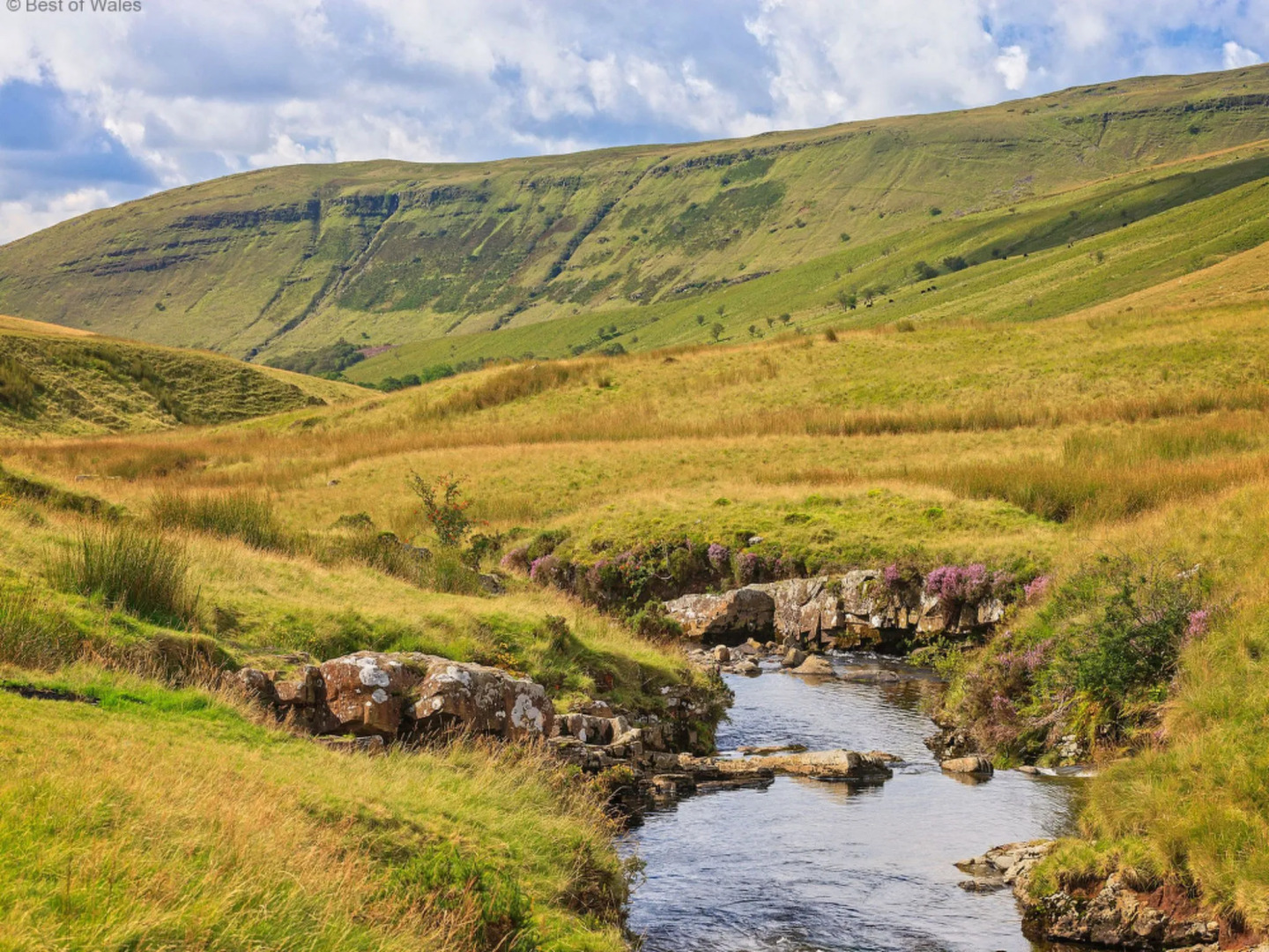 Holiday Home Abernos